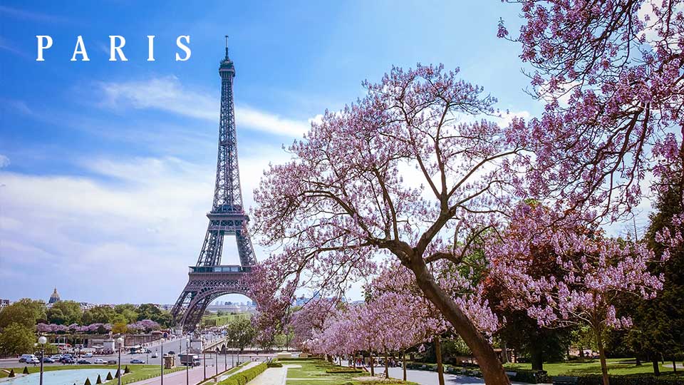 Eiffel Tower Paris