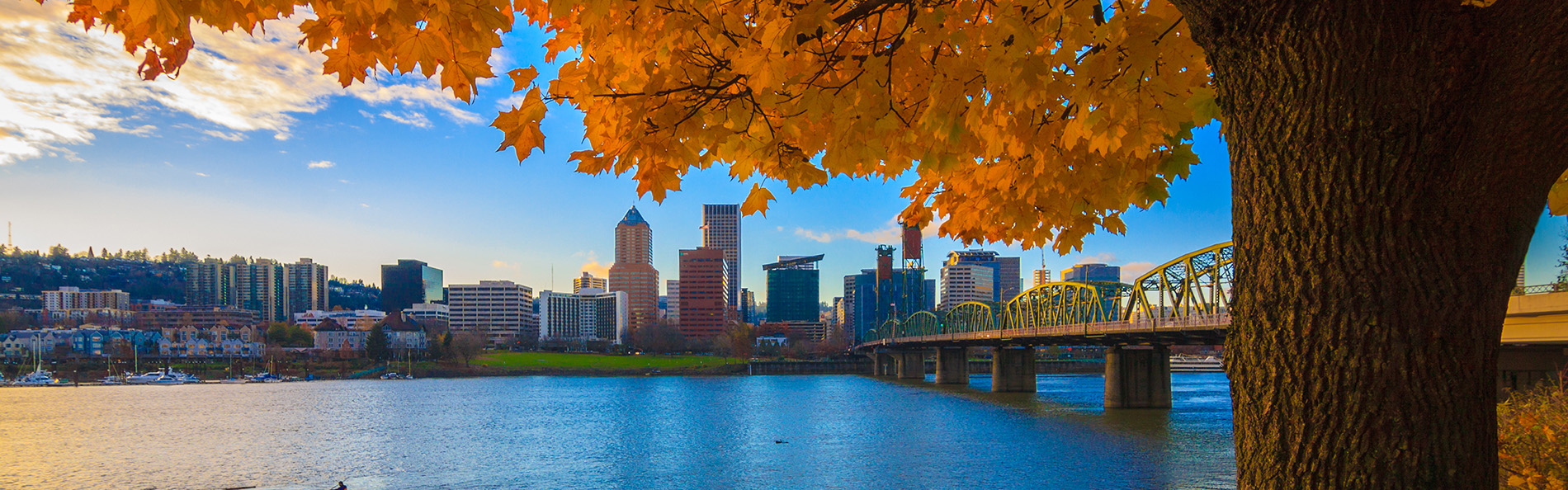Portland, Maine waterfront skyline framed by autumn leaves, often visited on Canada and New England cruise itineraries.