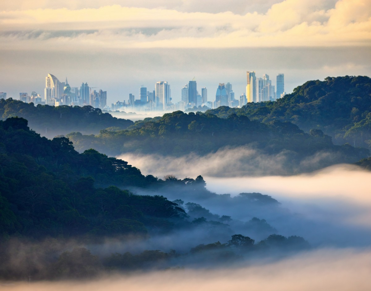 Panama City skyline rising behind lush rainforest hills, seen on a Panama Canal cruise
