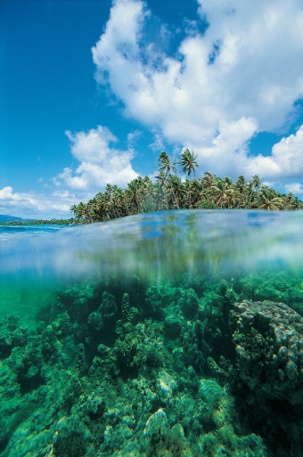 Coral reef and tropical island landscape in the Galápagos, explored on a South America cruise
