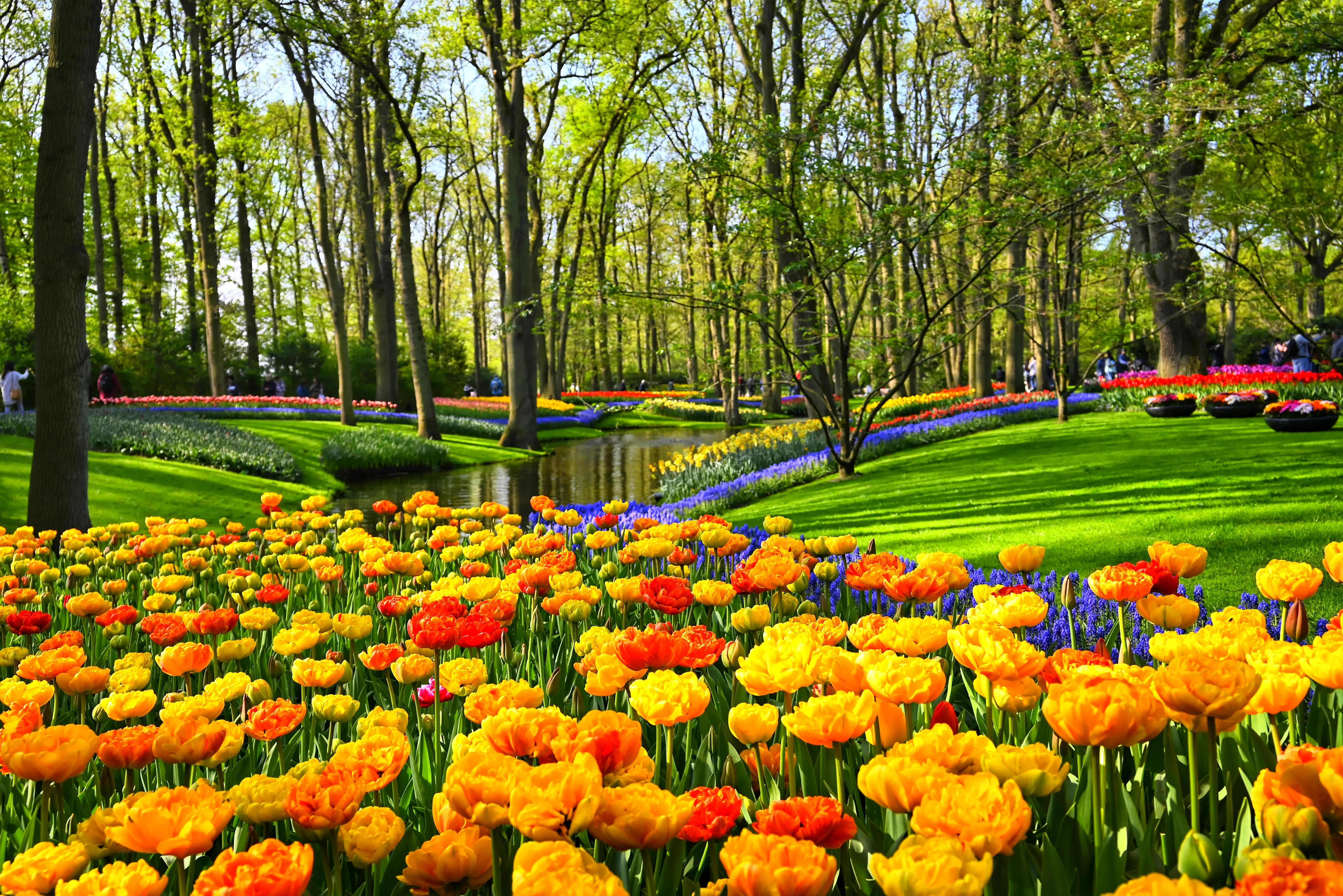 Keukenhof Gardens