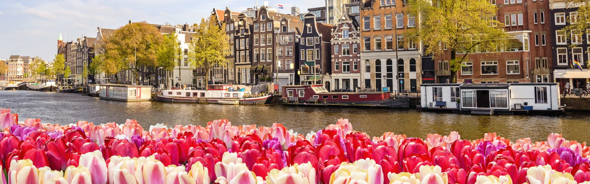 Netherlands Banner