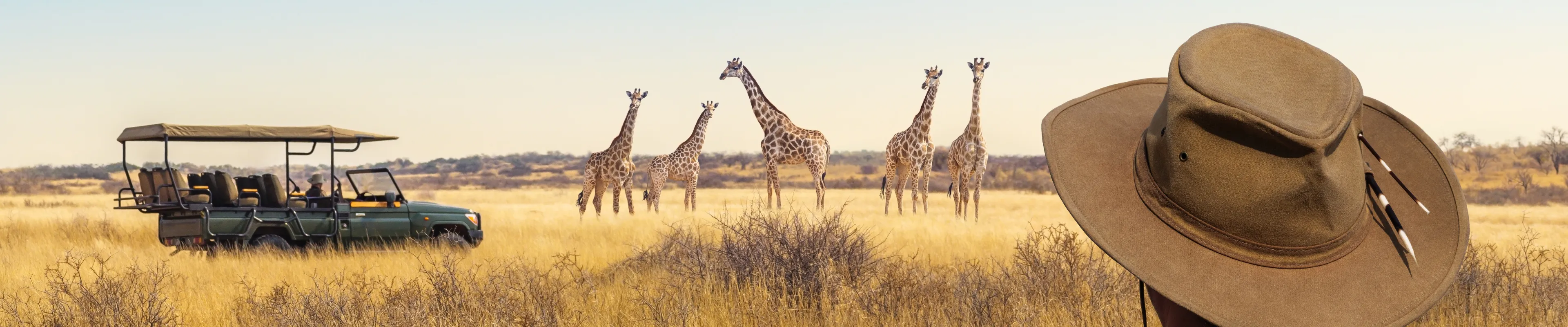 Safari & Wildlife Holidays Banner