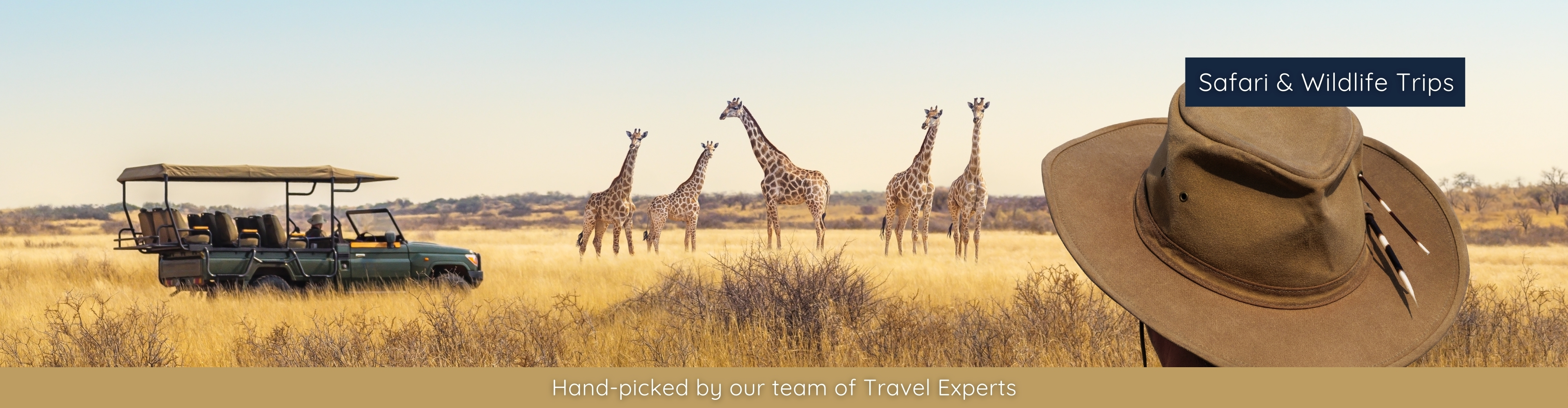 Safari & Wildlife Holidays Banner