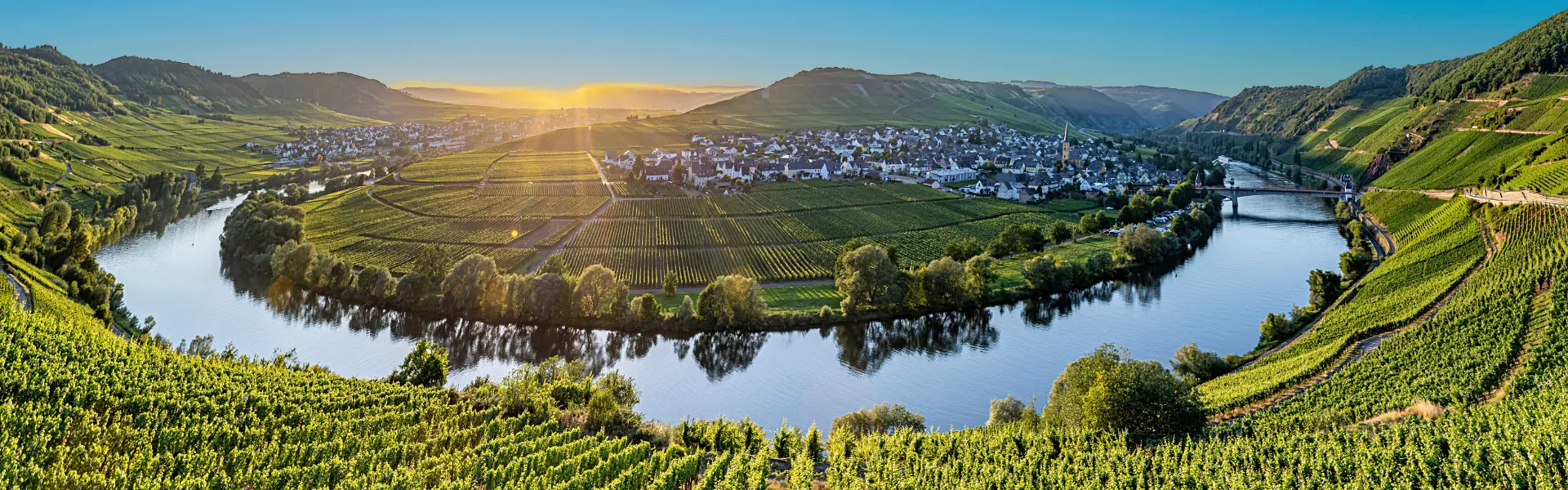 Moselle River Cruises