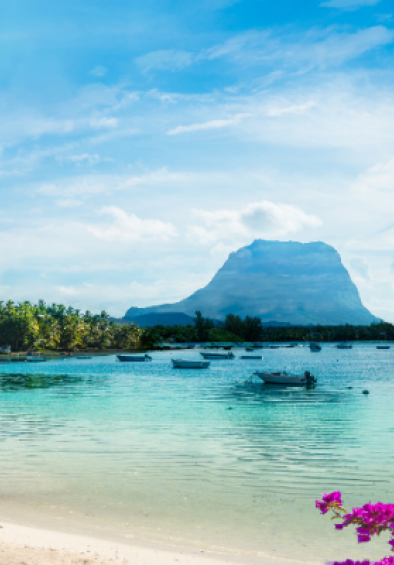 passports-and-visas-image