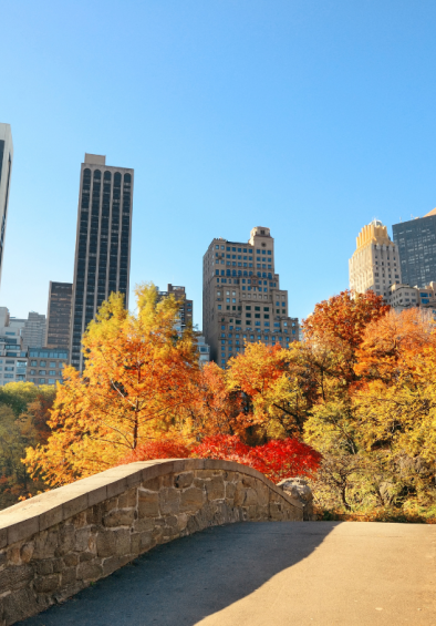 new-york-legal-wedding