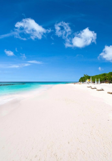 travel-insurance-image