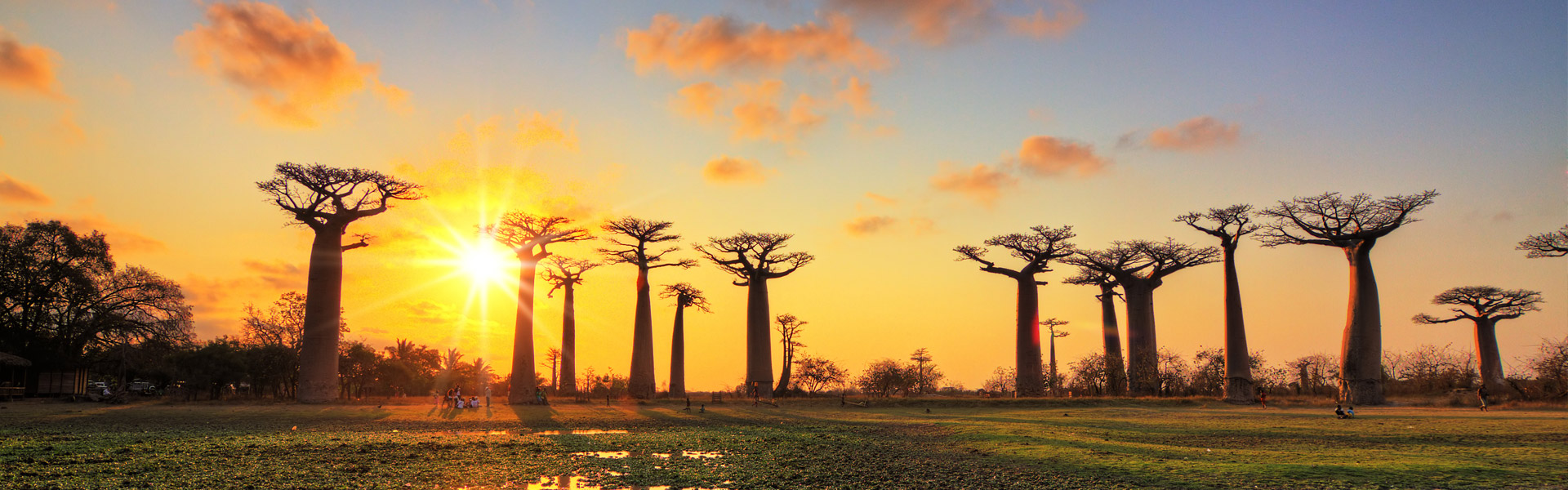 Panache Cruises - Country