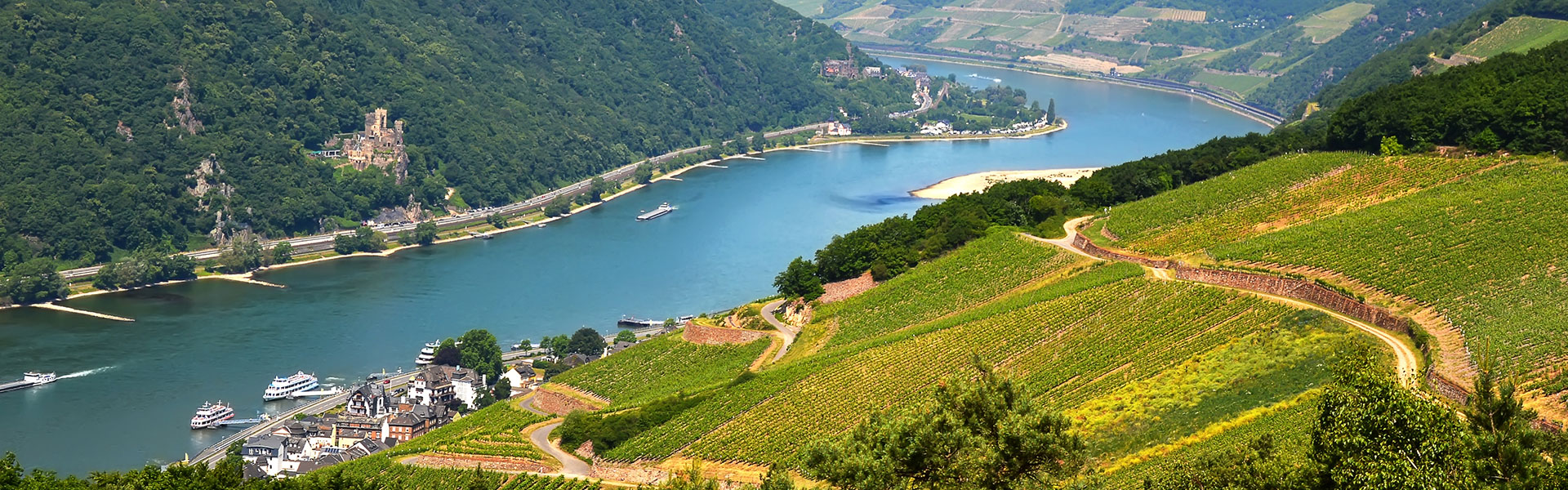 rhine river cruise reviews 2023